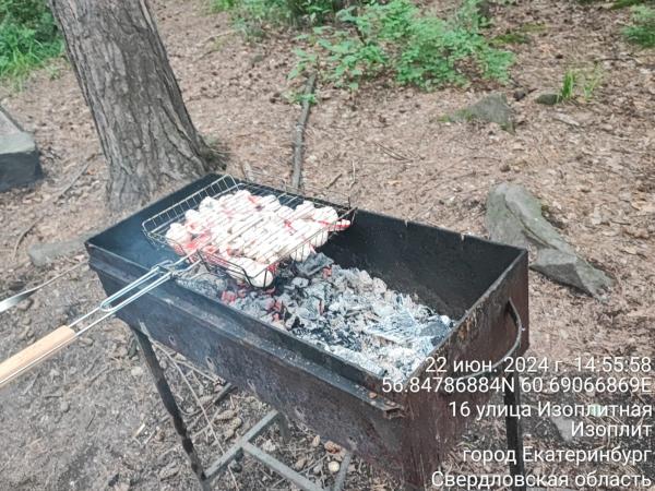 За неделю в Свердловской области выявили более 220 нарушений особого противопожарного режима  - Фото 3