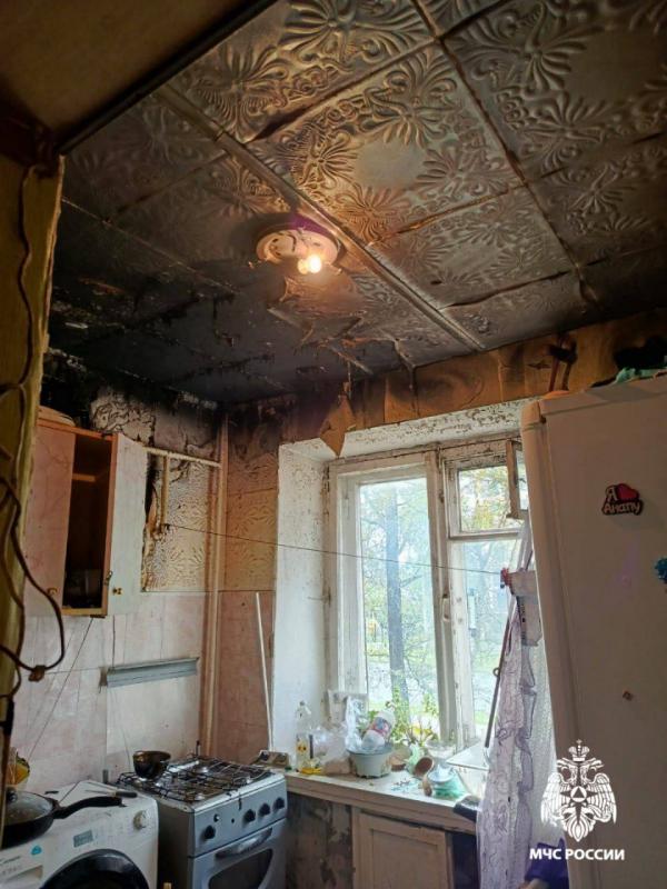 В Костроме подросток делал картошку фри и устроил пожар дома - Фото 2