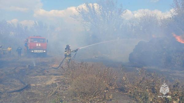 Из-за ростовчанки, которая сжигала траву на участке, произошел крупный пожар - Фото 2