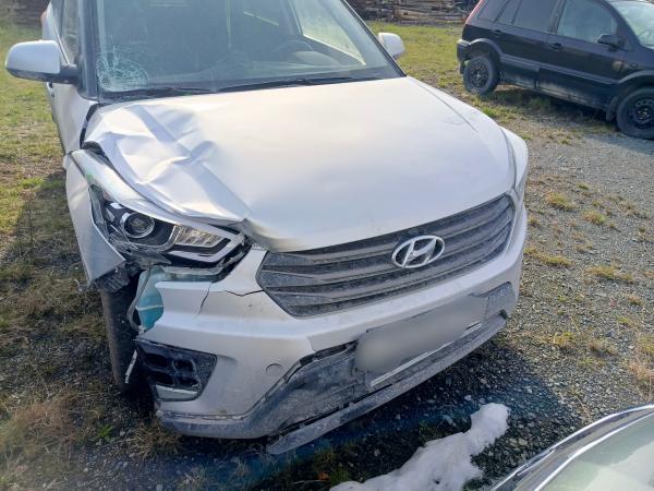 В Асбесте осудили водителя иномарки, который пьяным сбил насмерть девочку с собакой - Фото 2