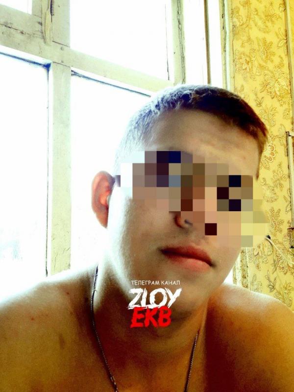 В селе под Алапаевском живодер жестоко расправился с двумя котами, потому что те съели его ужин - Фото 2