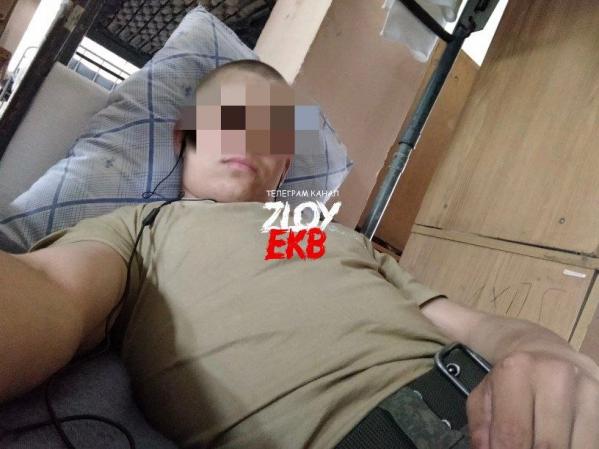 В селе под Алапаевском живодер жестоко расправился с двумя котами, потому что те съели его ужин - Фото 3