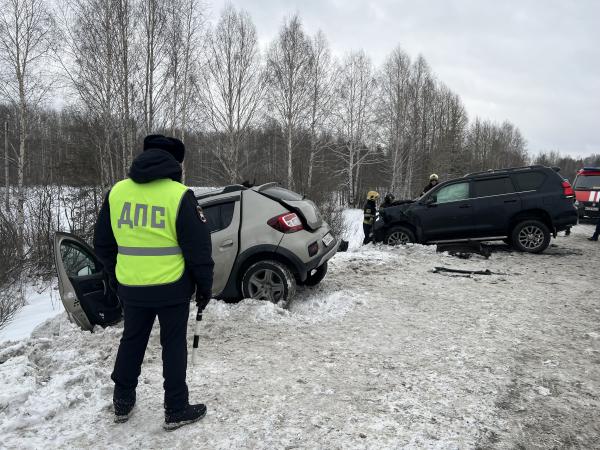 На Серовском тракте, влетев в «Тойота Ленд Крузер», погибла водитель «Рено» и ее мать - Фото 4