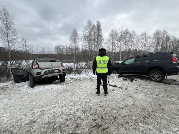 На Серовском тракте, влетев в «Тойота Ленд Крузер», погибла водитель «Рено» и ее мать - Фото 6