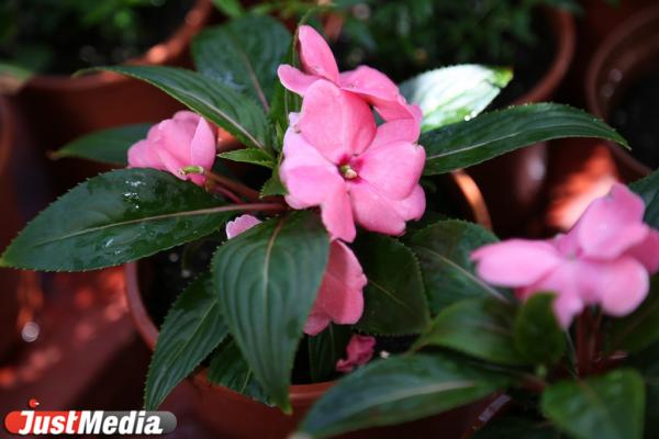 Что подарить девушке на День Рождения - Фото 6