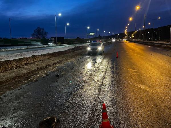 В Екатеринбурге водитель машины насмерть сбил велосипедиста и скрылся с места ДТП - Фото 2