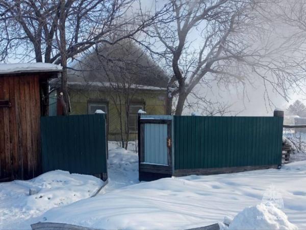 В Амурской области сотрудники МЧС спасли кошку из горящего дома - Фото 2