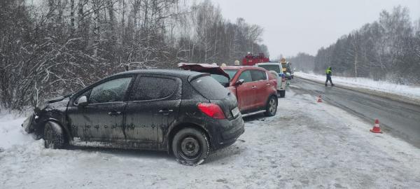 В Свердловской области в лобовом столкновении иномарок пострадали пять человек - Фото 2