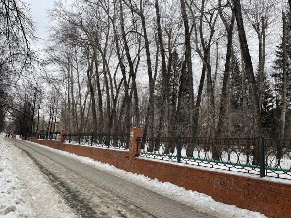 В Дендропарке на Мира очистили малый водоем и частично установили новое ограждение - Фото 2