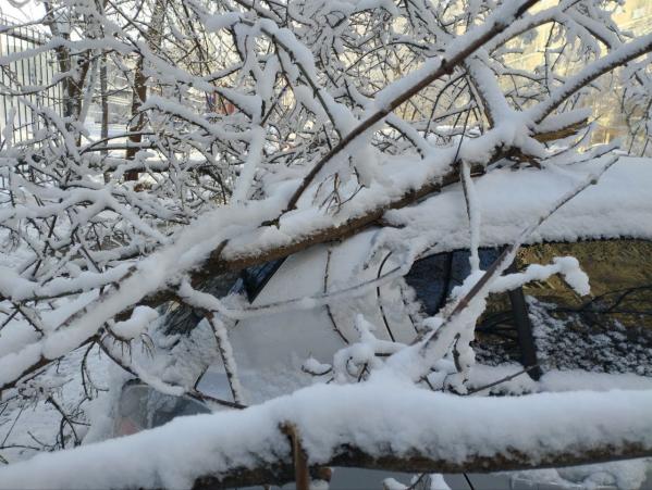 Последствия апрельского снегопада на дорогах Свердловской области ликвидировали почти 200 единиц техники - Фото 3