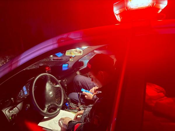 В Волчанске водитель «Шкоды» насмерть сбил пешехода и скрылся с места ДТП - Фото 3