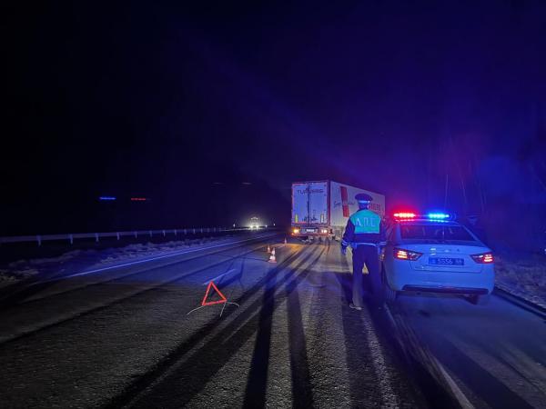 В Сысерти ночью водитель фуры насмерть сбил пешехода - Фото 2