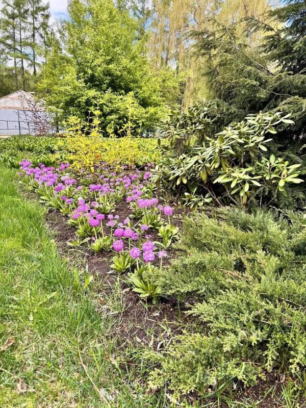 В Екатеринбурге после просушки открылся Дендропарк на Первомайской - Фото 2