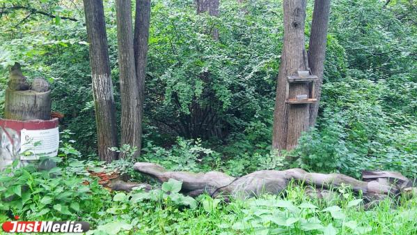 В парке лесоводов России упала деревянная скульптура рудокопа - Фото 5