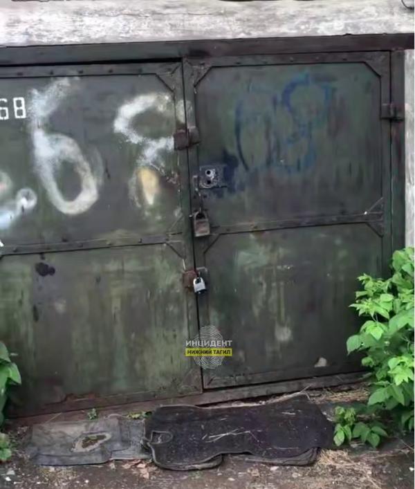 «Может, половина из них уже мертва?!». Жители Нижнего Тагила пожаловались на гараж с бездомными собаками - Фото 2
