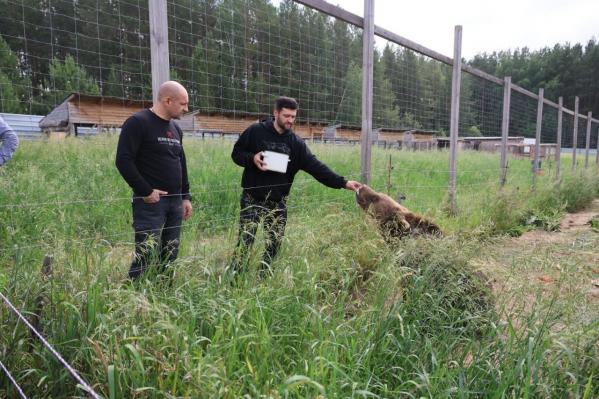 Артем Жога сыграл с медвежатами в футбол - Фото 3