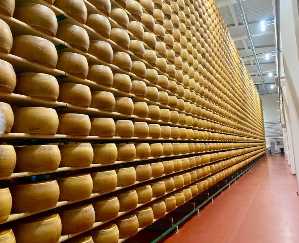 Андрей Ветлужских принял участие в заседании общественного совета УФНС региона, которое прошло на сыроварне - Фото 2