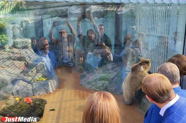 В Екатеринбурге обновили вольер для бурых медведей за 30 млн рублей - Фото 3