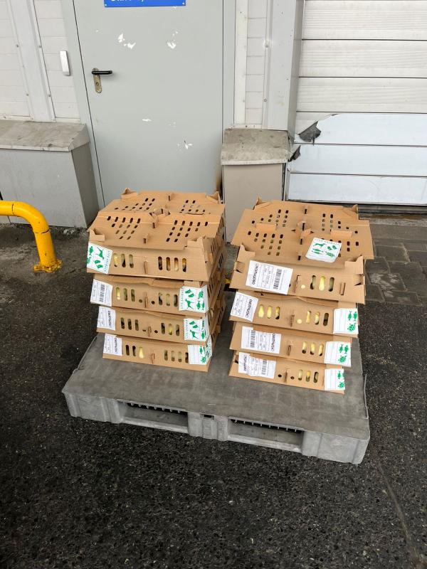  Из Екатеринбурга в Алтайский край улетели более тысячи суточных цыплят - Фото 2