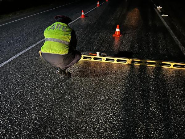 В Каменске-Уральском водитель «Рено» насмерть сбил пешехода - Фото 2