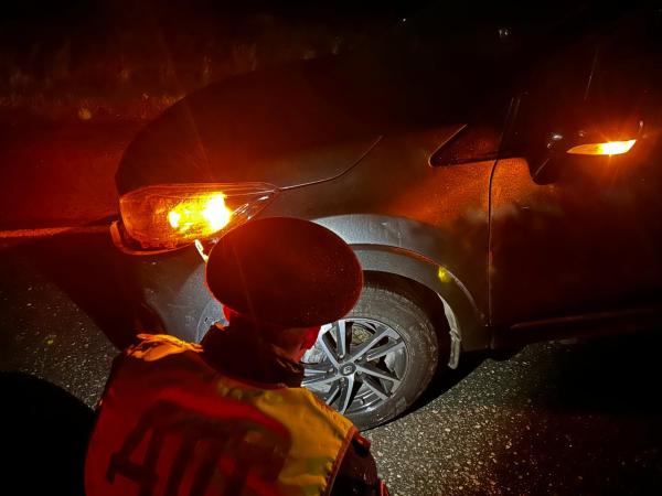 В Каменске-Уральском водитель «Рено» насмерть сбил пешехода - Фото 3