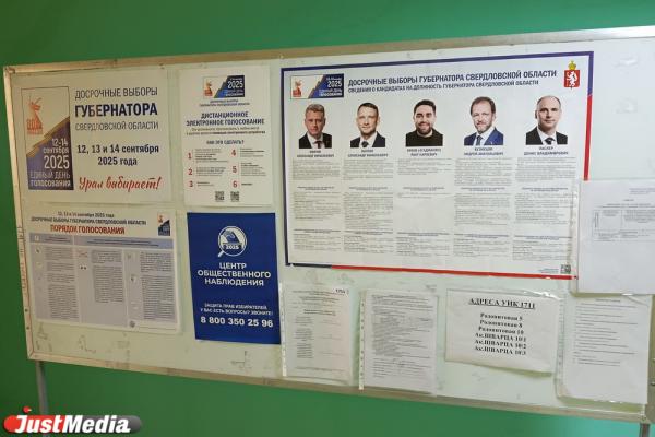 Свежая выпечка и сушеная явка. Как проходят выборы губернатора в Свердловской области - Фото 5