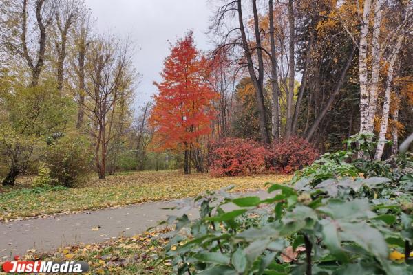 Народные приметы октября - Фото 4