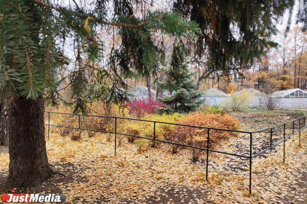 Народные приметы октября - Фото 3