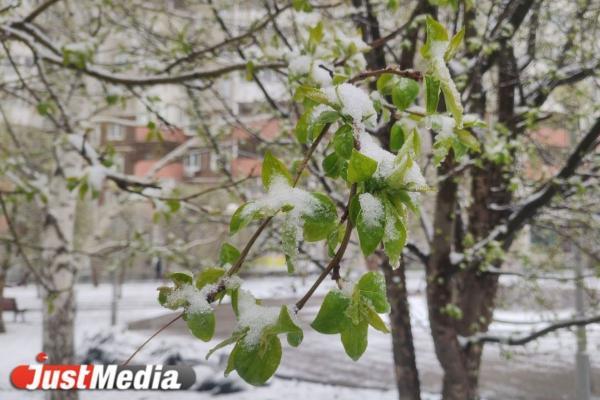 Народные приметы ноября - Фото 2