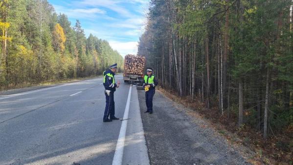 В Свердловской области водитель грузовика отрезал ногу водителю лесовоза и скрылся - Фото 2