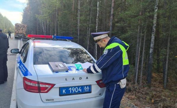 В Свердловской области водитель грузовика отрезал ногу водителю лесовоза и скрылся - Фото 4