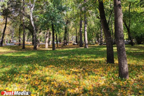 Скоро «золотая» осень все». Екатеринбуржцы заполонили парки, чтобы погулять и сделать красивые фото  - Фото 3