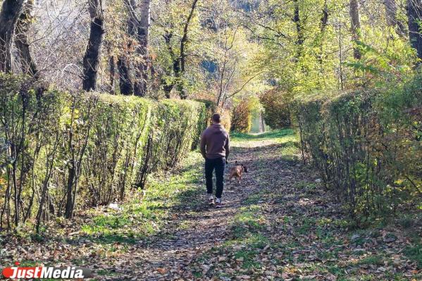 Скоро «золотая» осень все». Екатеринбуржцы заполонили парки, чтобы погулять и сделать красивые фото  - Фото 6