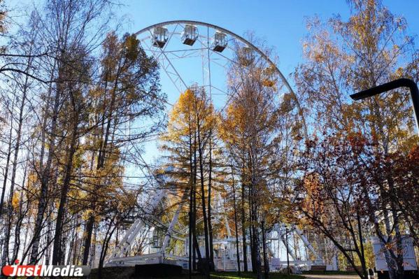 Скоро «золотая» осень все». Екатеринбуржцы заполонили парки, чтобы погулять и сделать красивые фото  - Фото 7