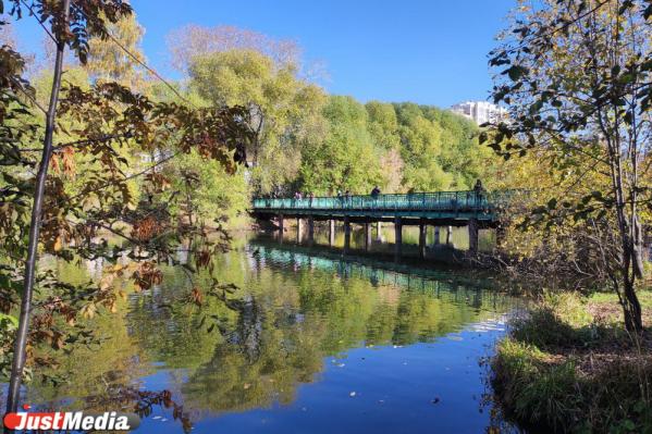 Скоро «золотая» осень все». Екатеринбуржцы заполонили парки, чтобы погулять и сделать красивые фото  - Фото 11