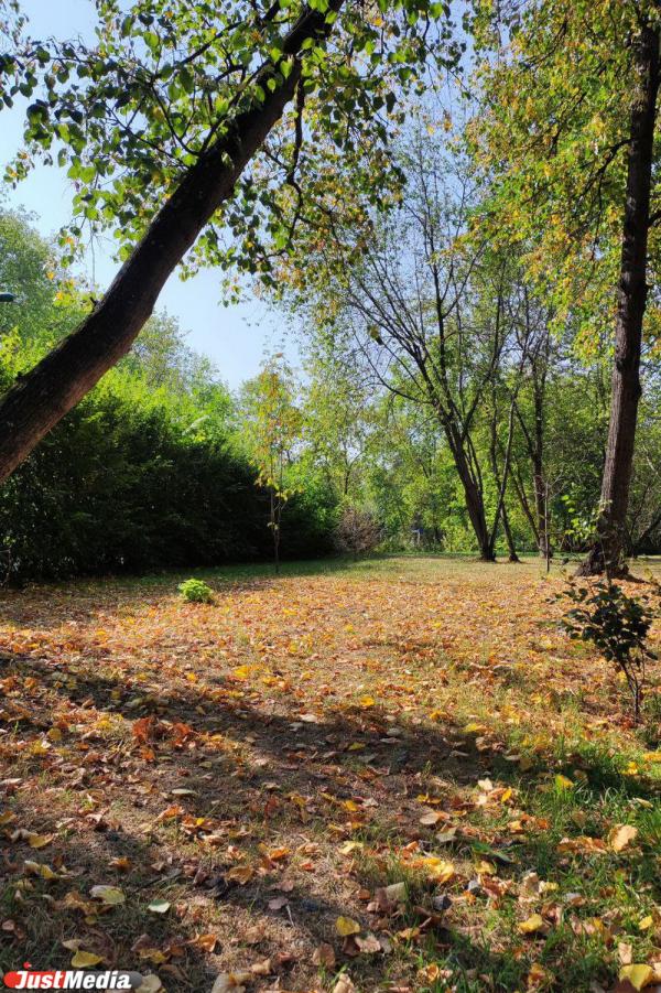 Скоро «золотая» осень все». Екатеринбуржцы заполонили парки, чтобы погулять и сделать красивые фото  - Фото 12