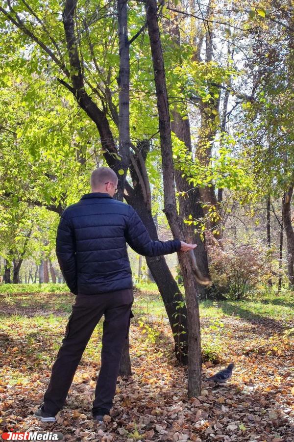 Скоро «золотая» осень все». Екатеринбуржцы заполонили парки, чтобы погулять и сделать красивые фото  - Фото 13
