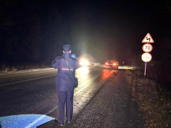 На трассе под Режом водитель иномарки насмерть сбил женщину-пешехода, опоздавшую на автобус - Фото 2