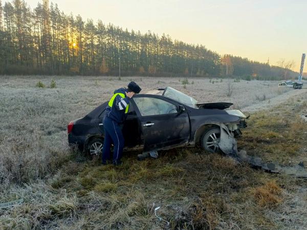 В Свердловской области водитель «Рено» вылетел на встречку и «убил» водителя иномарки - Фото 2