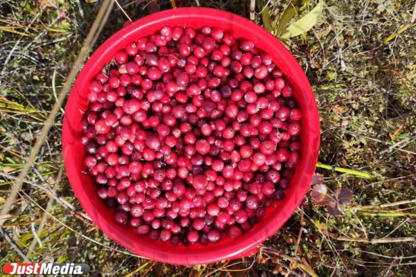 Врач-эндоскопист рассказала, как снизить риск появления полипов в кишечнике - Фото 4