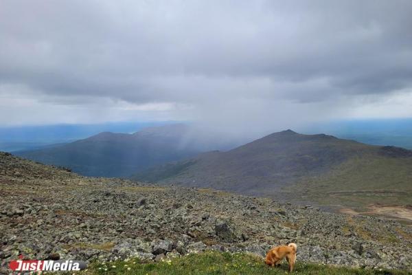 Народные приметы июня - Фото 2