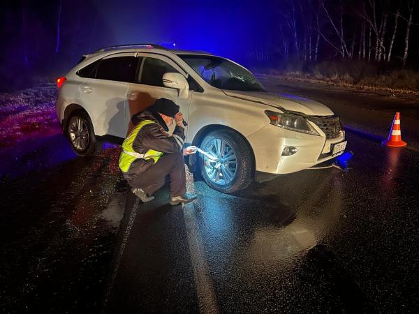 В Свердловской области в лобовом столкновении с фурой погибла семья с пятилетним ребенком из кроссовера - Фото 4