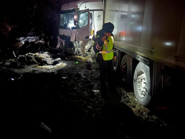 В Свердловской области в лобовом столкновении с фурой погибла семья с пятилетним ребенком из кроссовера - Фото 6