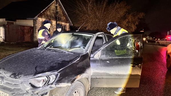 В поселке Патруши водитель «Лады» насмерть сбил пешехода - Фото 4