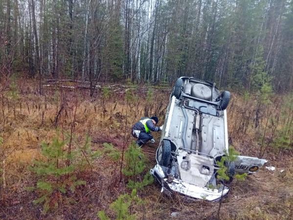 Под Серовом пьяный водитель на арендованном авто улетел с дороги - Фото 2