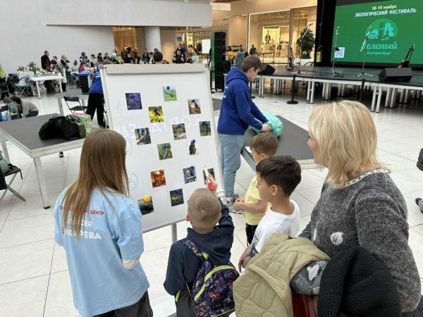 В Екатеринбурге пройдет большой экофестиваль с раздельным сбором мусора и приемом помощи приюту для животных - Фото 2