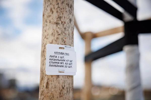 До конца года в Солнечном откроют новый участок улицы Любви - Фото 6