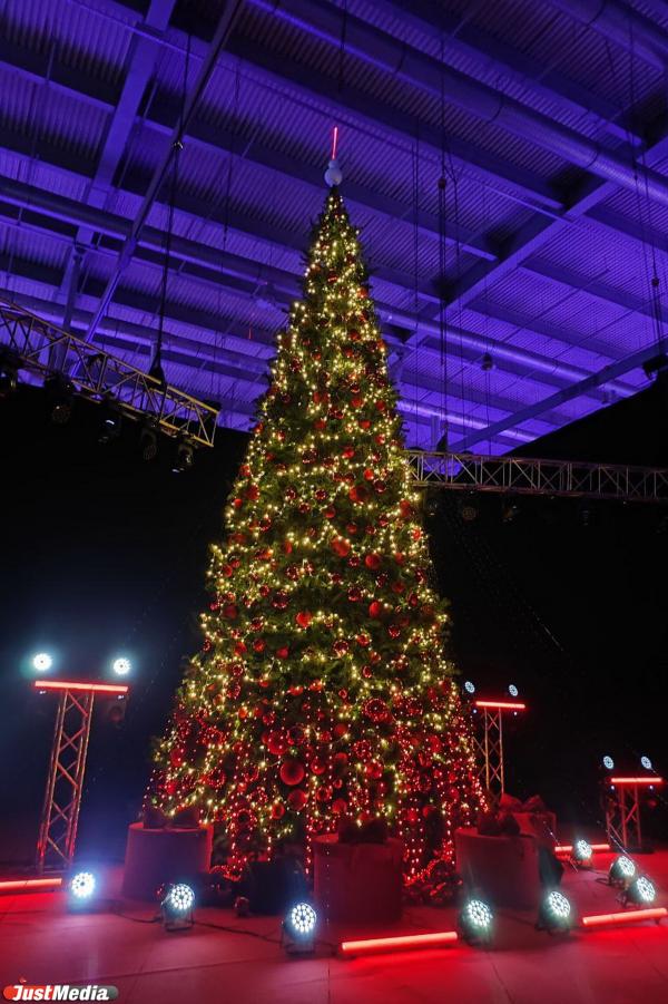 Куда сходить на елку с ребенком в январе 2026 года в Екатеринбурге - Фото 7