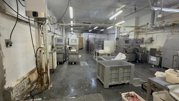 В Екатеринбурге на хладокомбинате полицейские задержали более 80 мигрантов - Фото 3