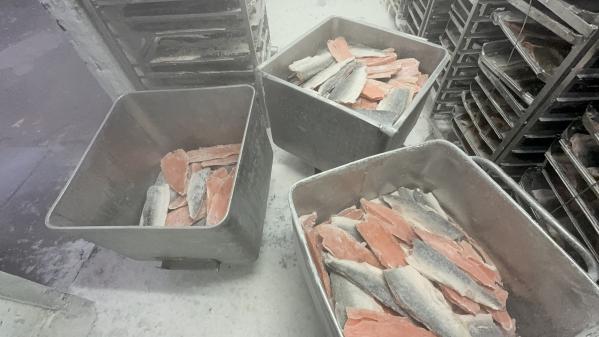 В Екатеринбурге на хладокомбинате полицейские задержали более 80 мигрантов - Фото 5